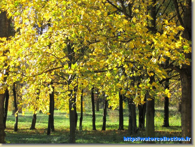 Diapositive suivante